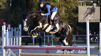 L'Equitation - Une passion au service du Couple Cheval-Cavalier